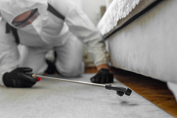 Professional Cockroach Control technician working in Naranja, FL